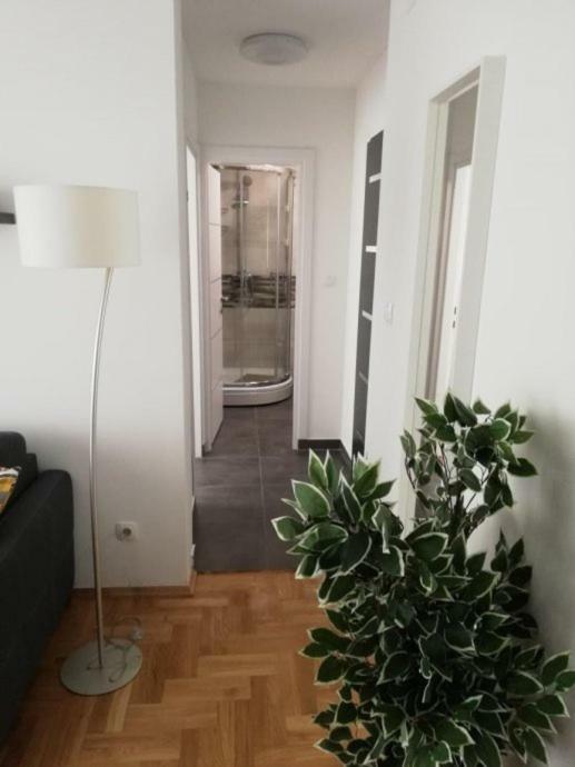 Apartments Ali 萨格勒布 外观 照片
